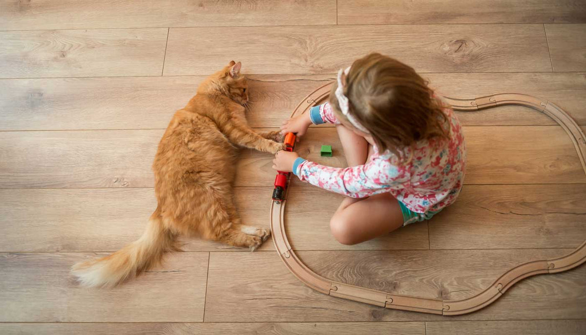 Child and cat on a luxury vinyl floor