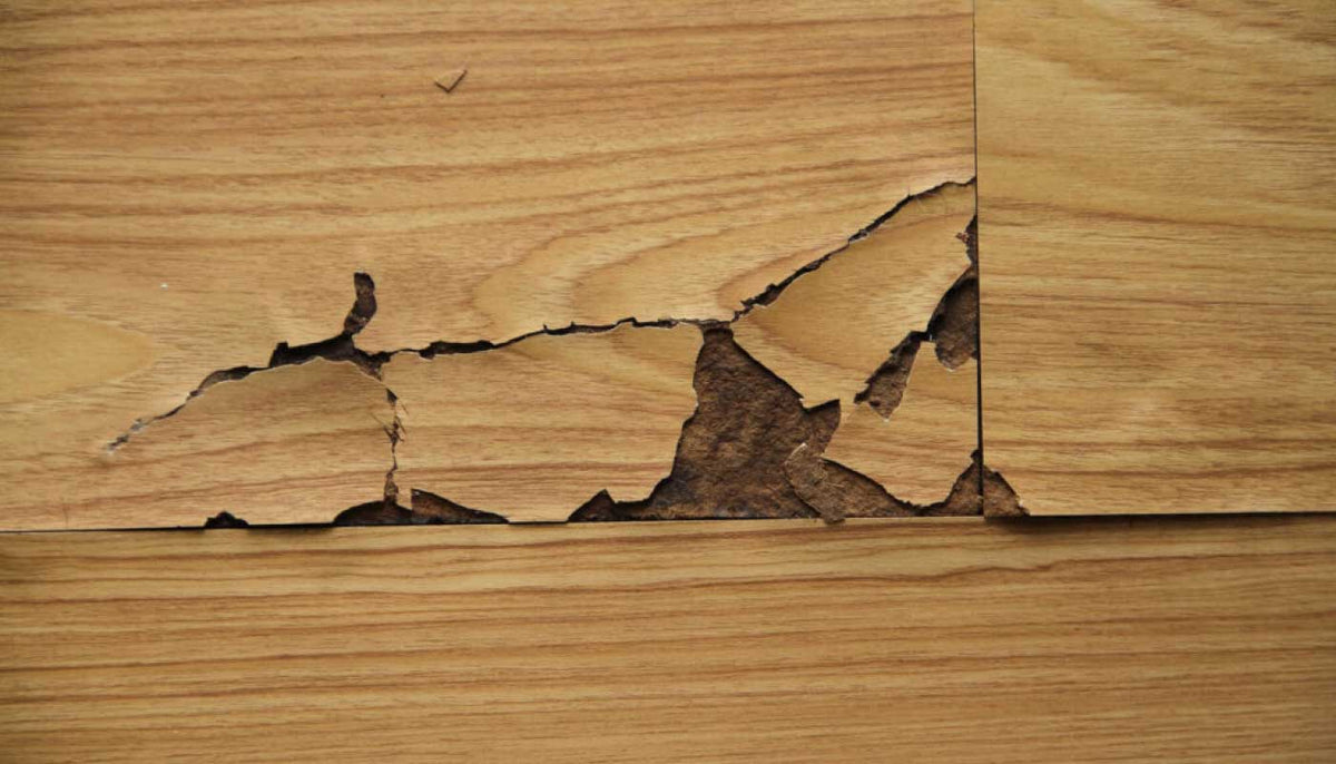 Cracked Laminate Floor