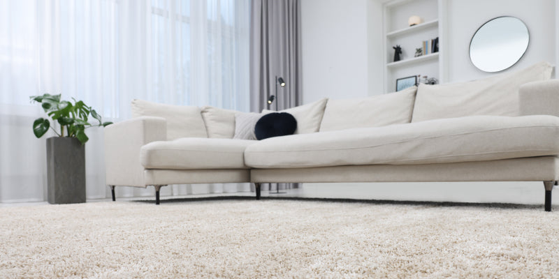 Carpeted living room