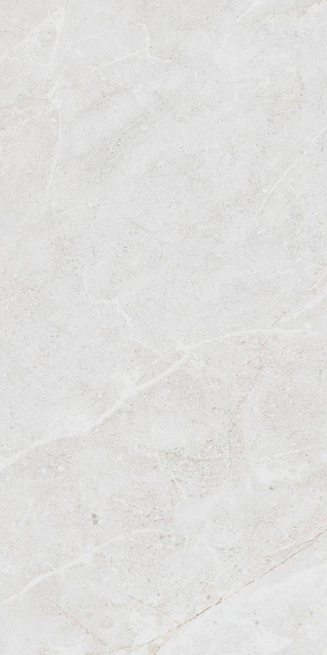 Belvedere White Matte 12x24 Porcelain Tile
