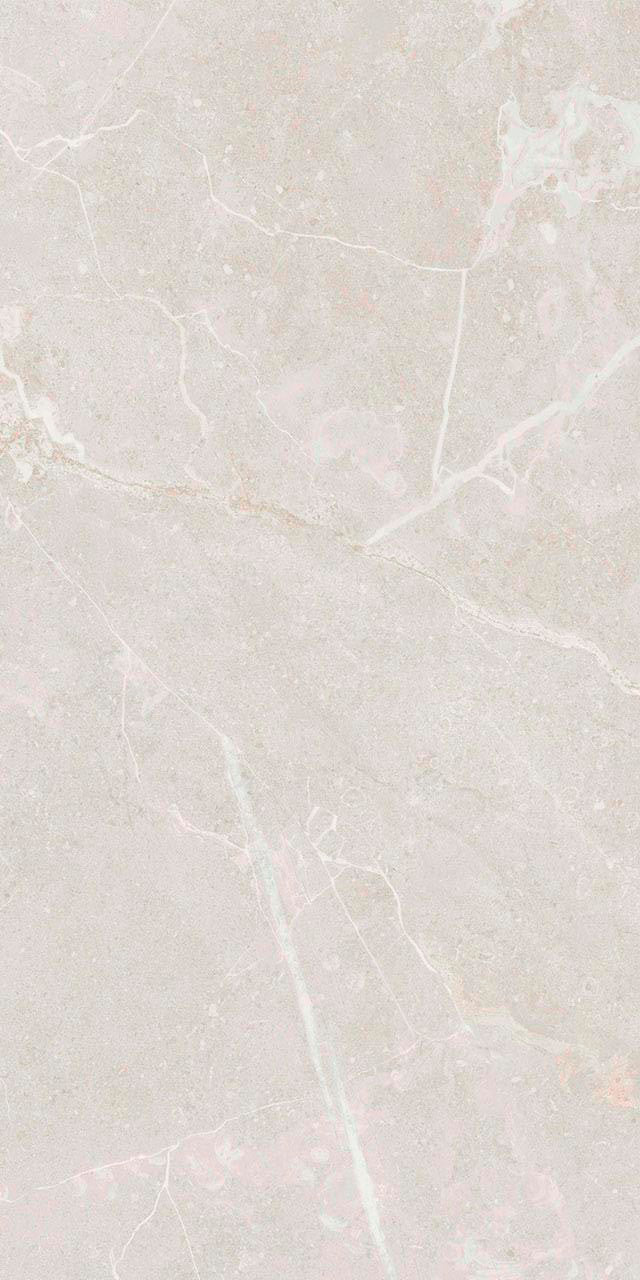Belvedere Ivory Matte 12x24 Porcelain Tile