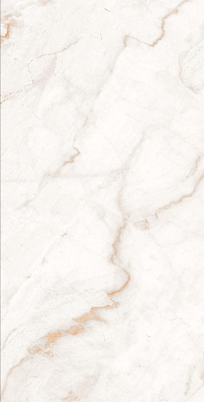 NX Ferrol Ice 24x48 Stone Look Porcelain Tile