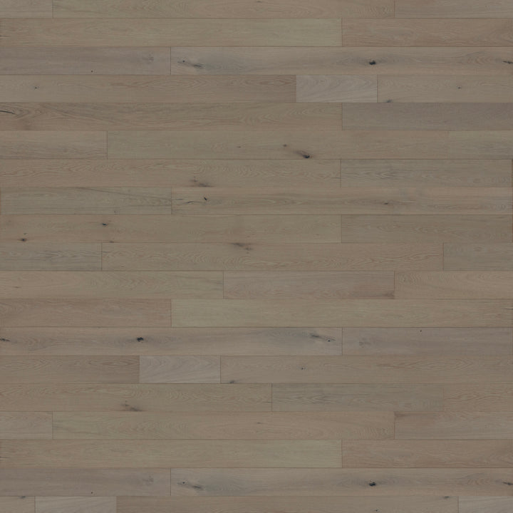 Westport White Oak Engineered Hardwood Flooring — Snow Cloud