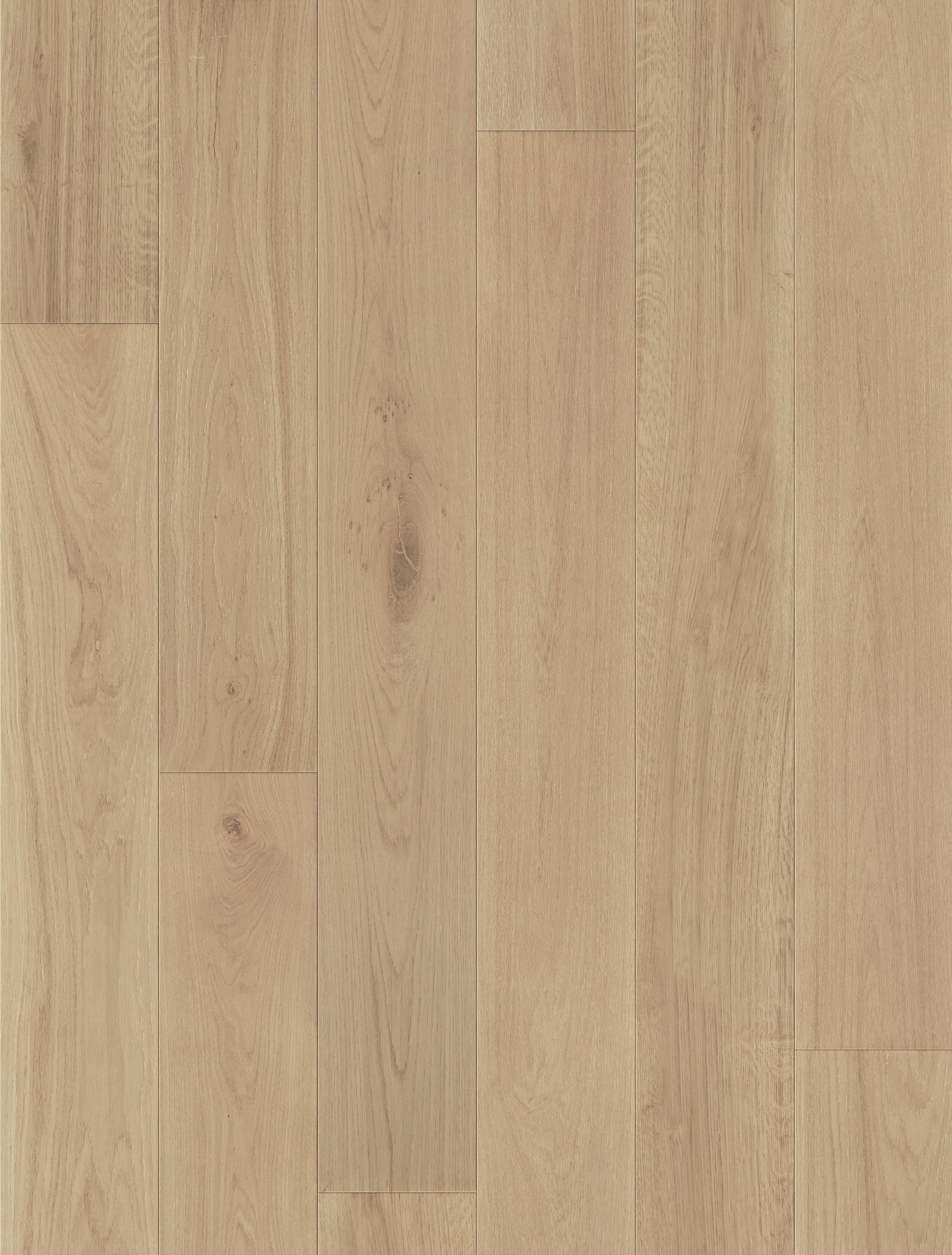 Compass Collection Engineered European Oak Hardwood