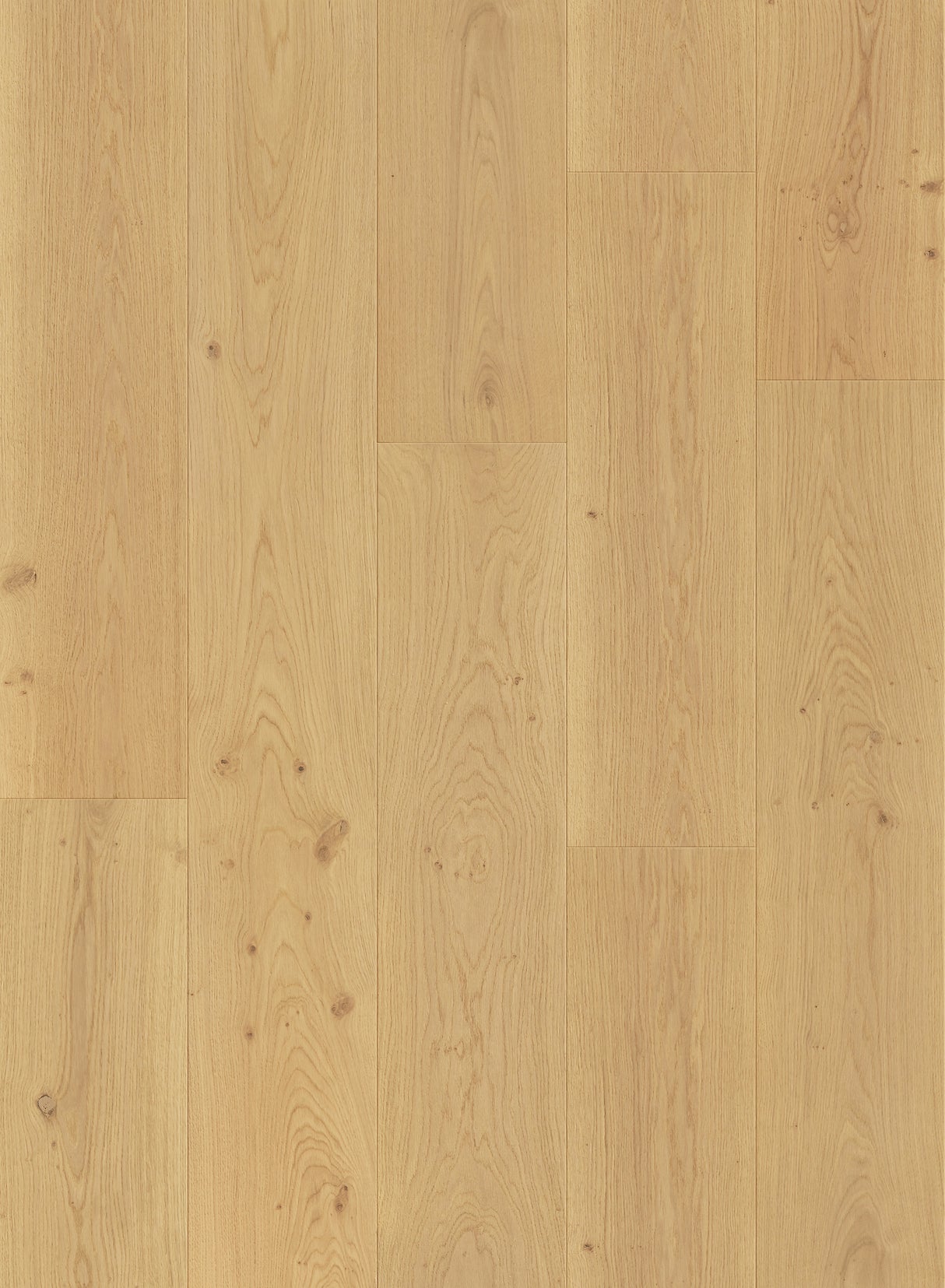 Compass Collection Engineered European Oak Hardwood