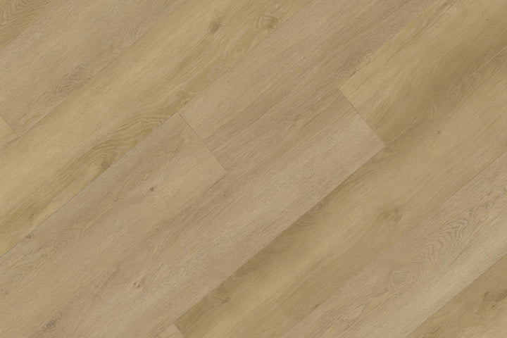 XL Broadview Collection SPC Vinyl Plank — Belcarra