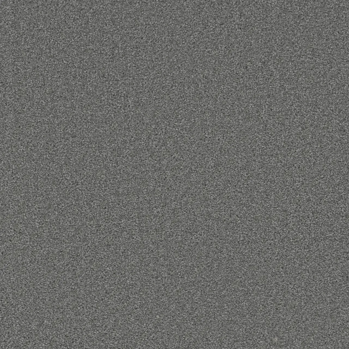 Grizzly 24oz Cut Pile Carpet Flooring