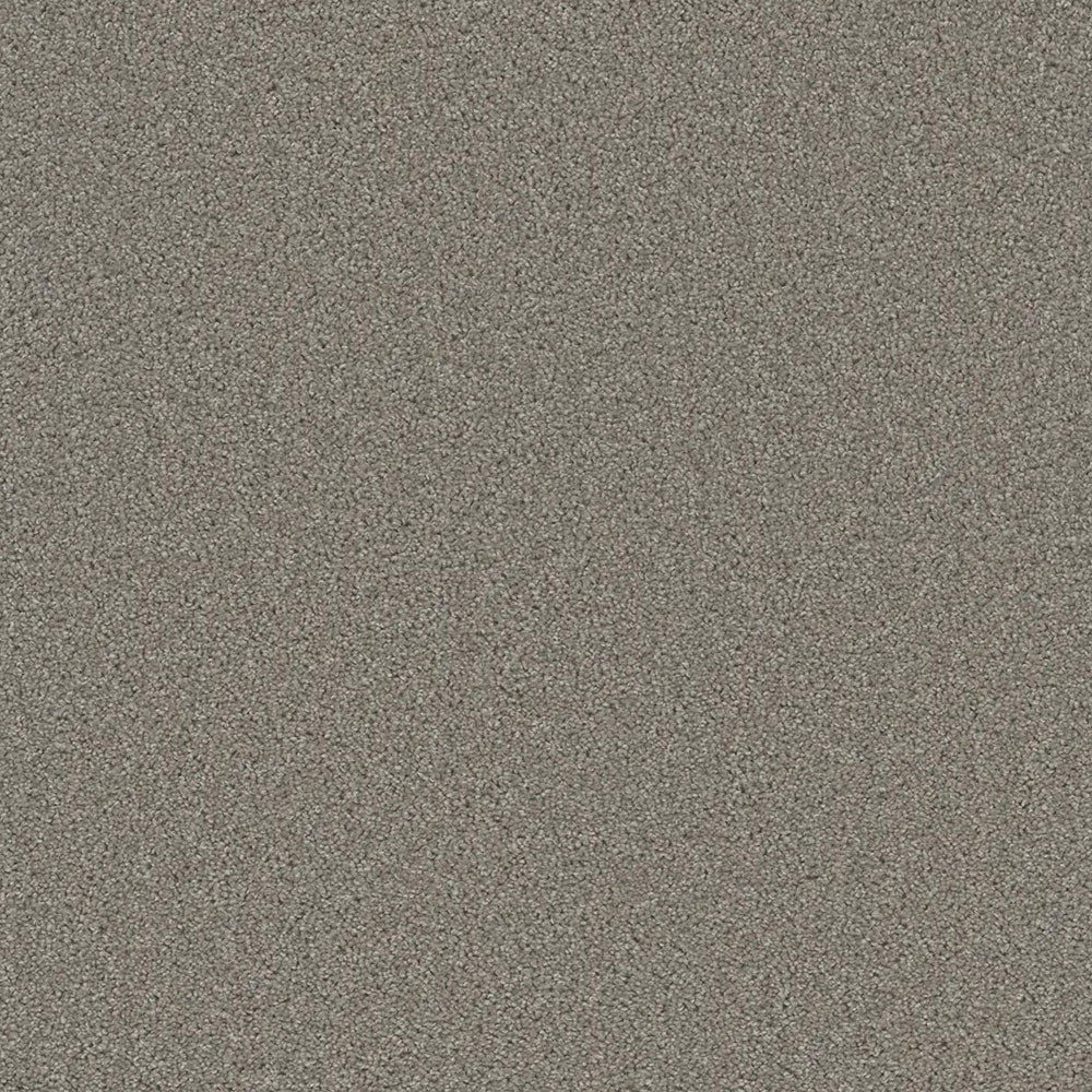 Grizzly 24oz Cut Pile Carpet Flooring