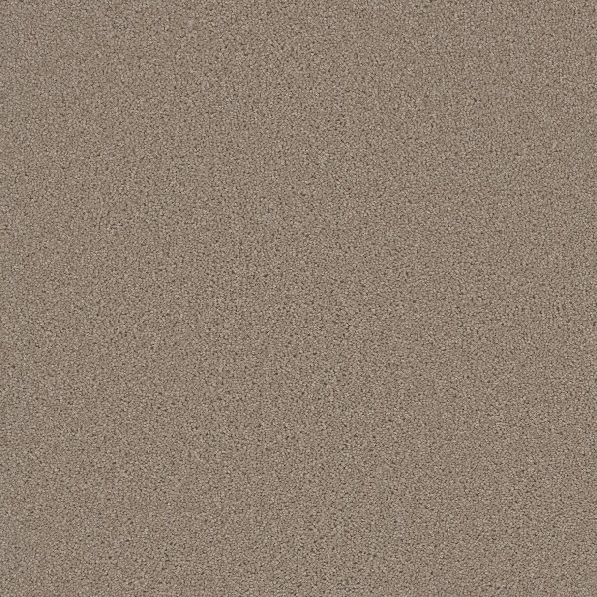 Grizzly 24oz Cut Pile Carpet Flooring