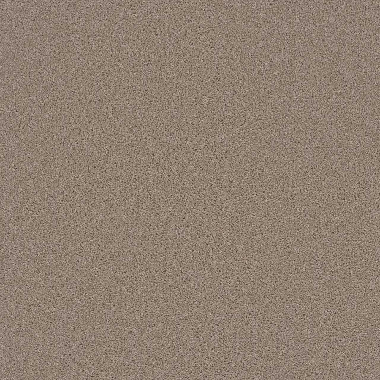 Grizzly 24oz Cut Pile Carpet Flooring
