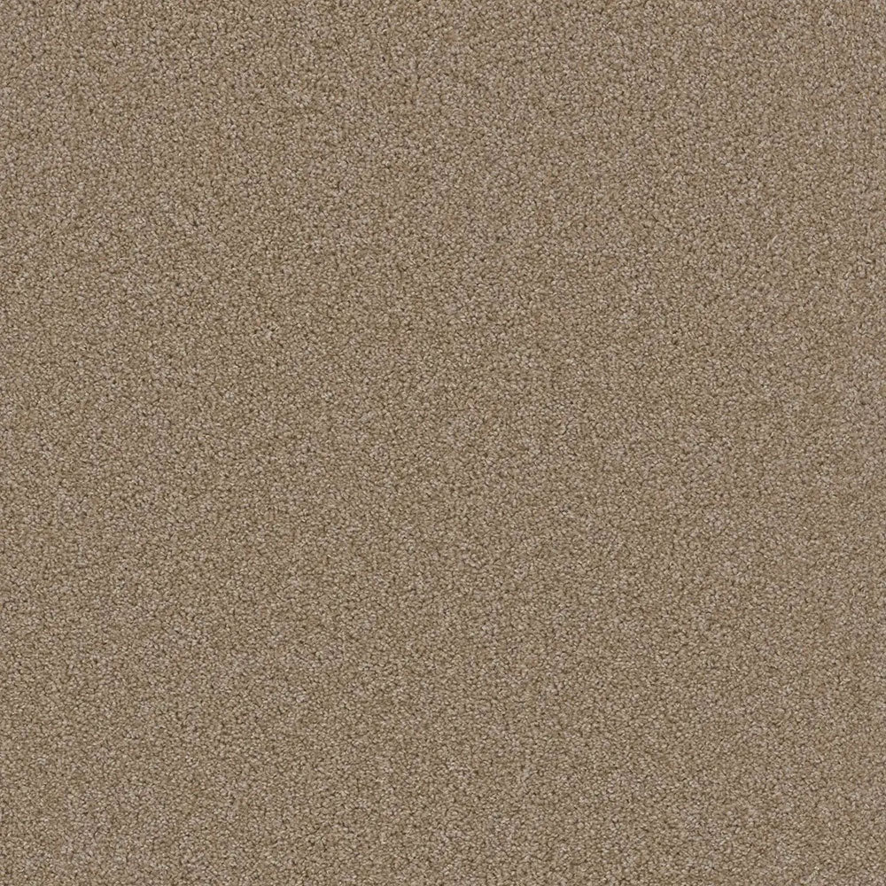 Grizzly 24oz Cut Pile Carpet Flooring