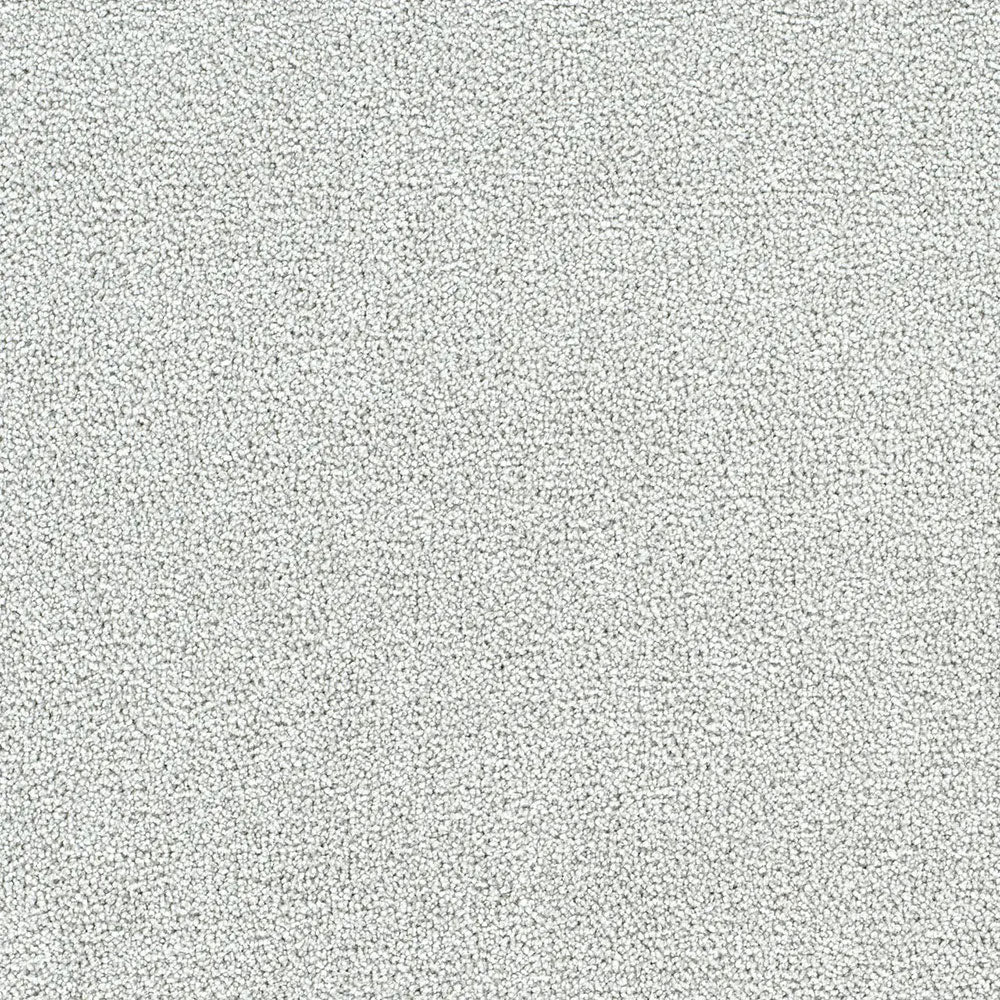 Polar 40oz Cut Pile Carpet Flooring