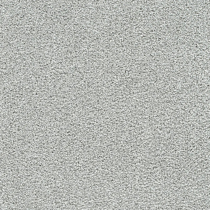 Polar 40oz Cut Pile Carpet Flooring — Arctic