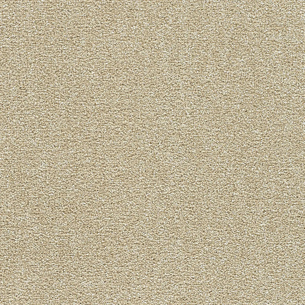 Polar 40oz Cut Pile Carpet Flooring