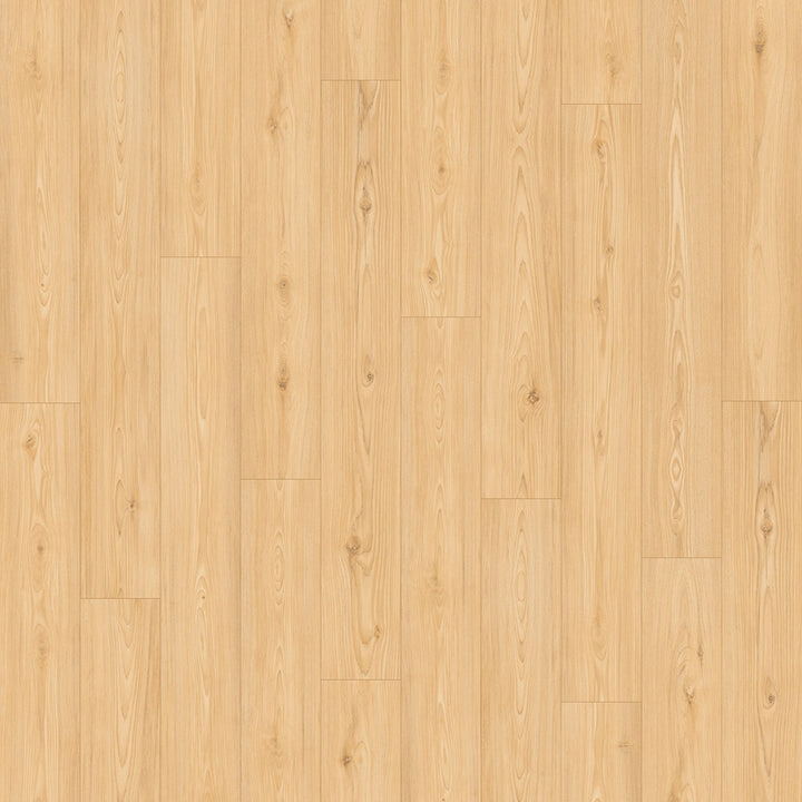 Bay of Fundy Tides PVC Free Flooring — Shore Surge