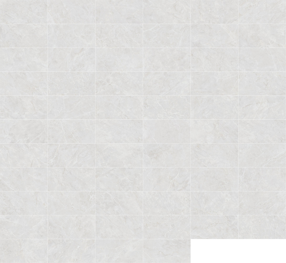 Belvedere White Matte 12x24 Porcelain Tile