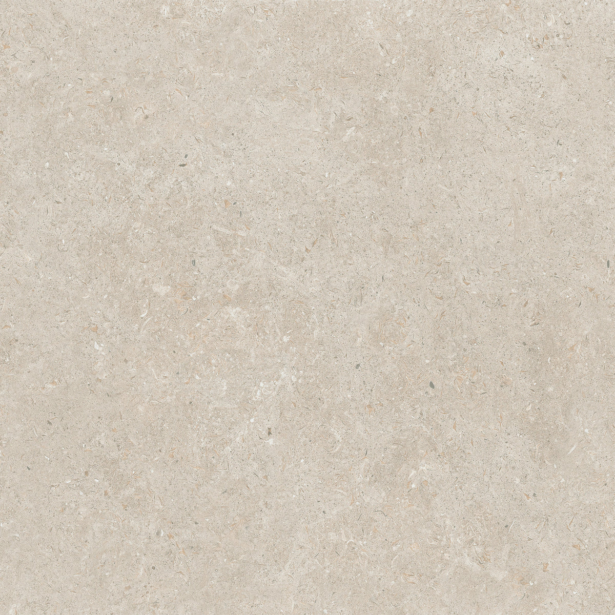 24x24 Matte Porcelain Floor Tile