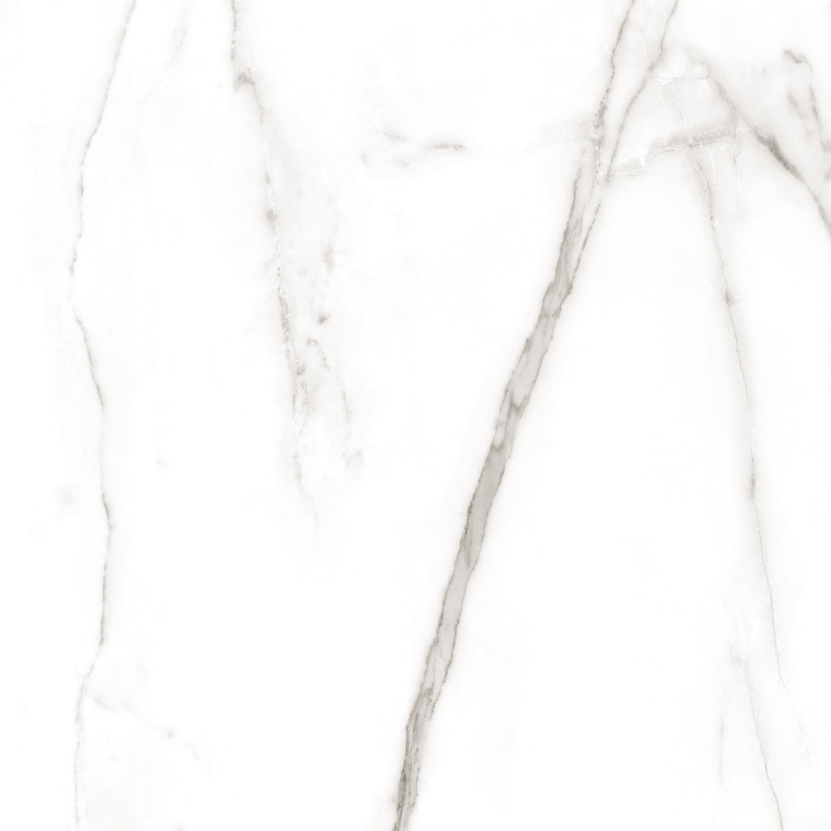 Calacatta Tranco 32x32 Polished Marble Look Porcelain Tile