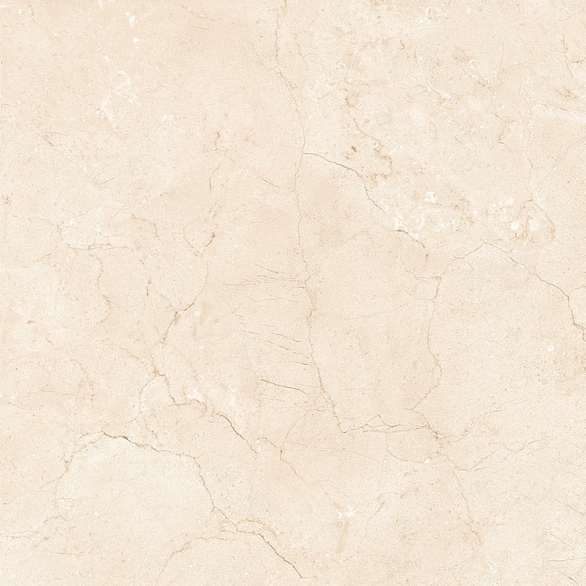 Marfil Crema 24x24 Polished Marble Look Porcelain Tile