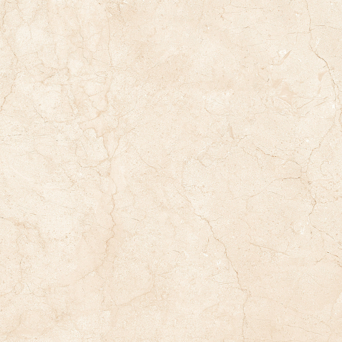 Marfil Crema 24x24 Polished Marble Look Porcelain Tile
