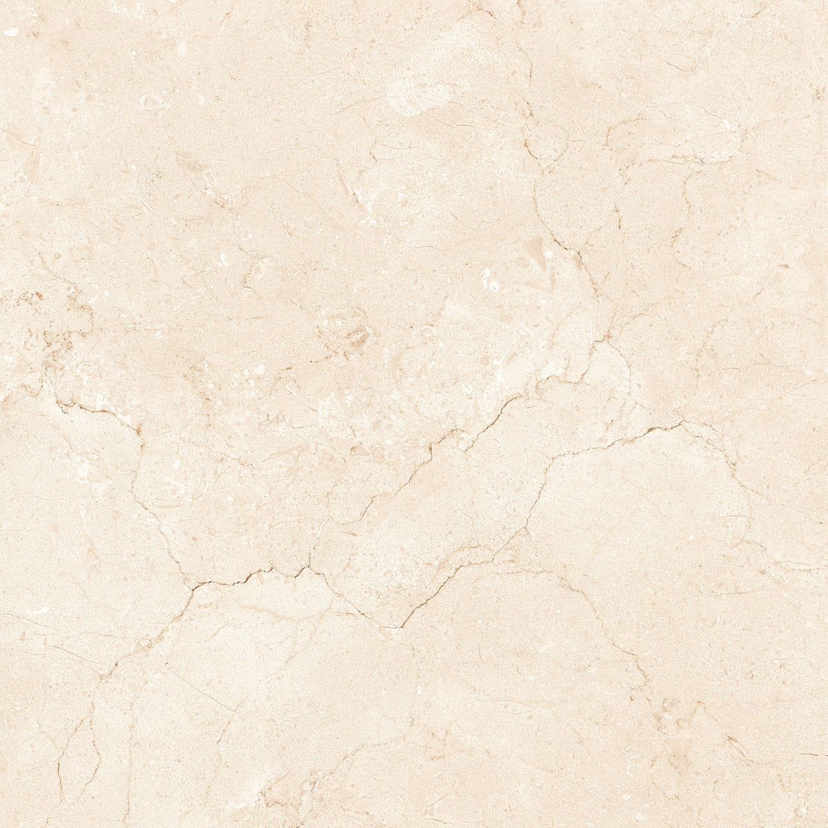 Marfil Crema 24x24 Polished Marble Look Porcelain Tile