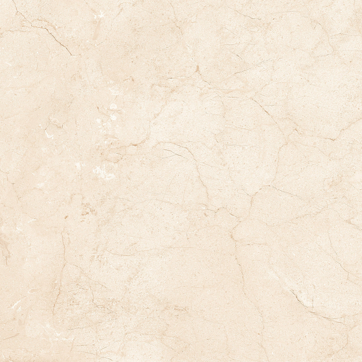 Marfil Crema 24x24 Polished Marble Look Porcelain Tile