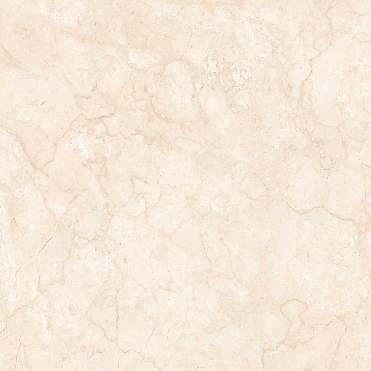 Oscar Crema 24x24 Stone Look Porcelain Tile