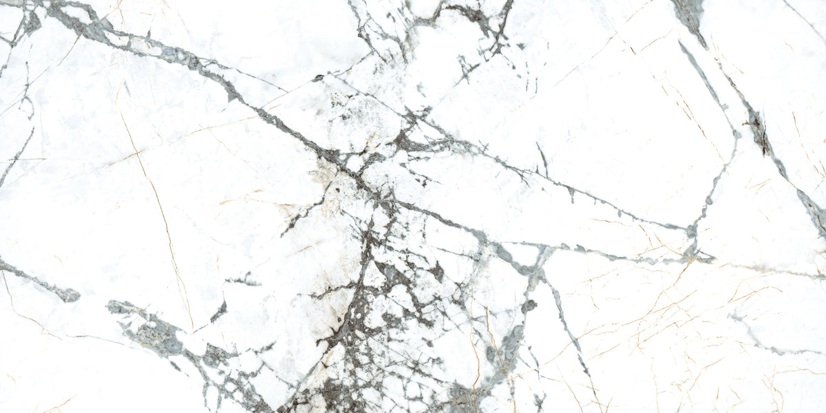 Pietra Marme de Milano 24x48 matte marble look porcelain tile, additional face showing tone and pattern variation