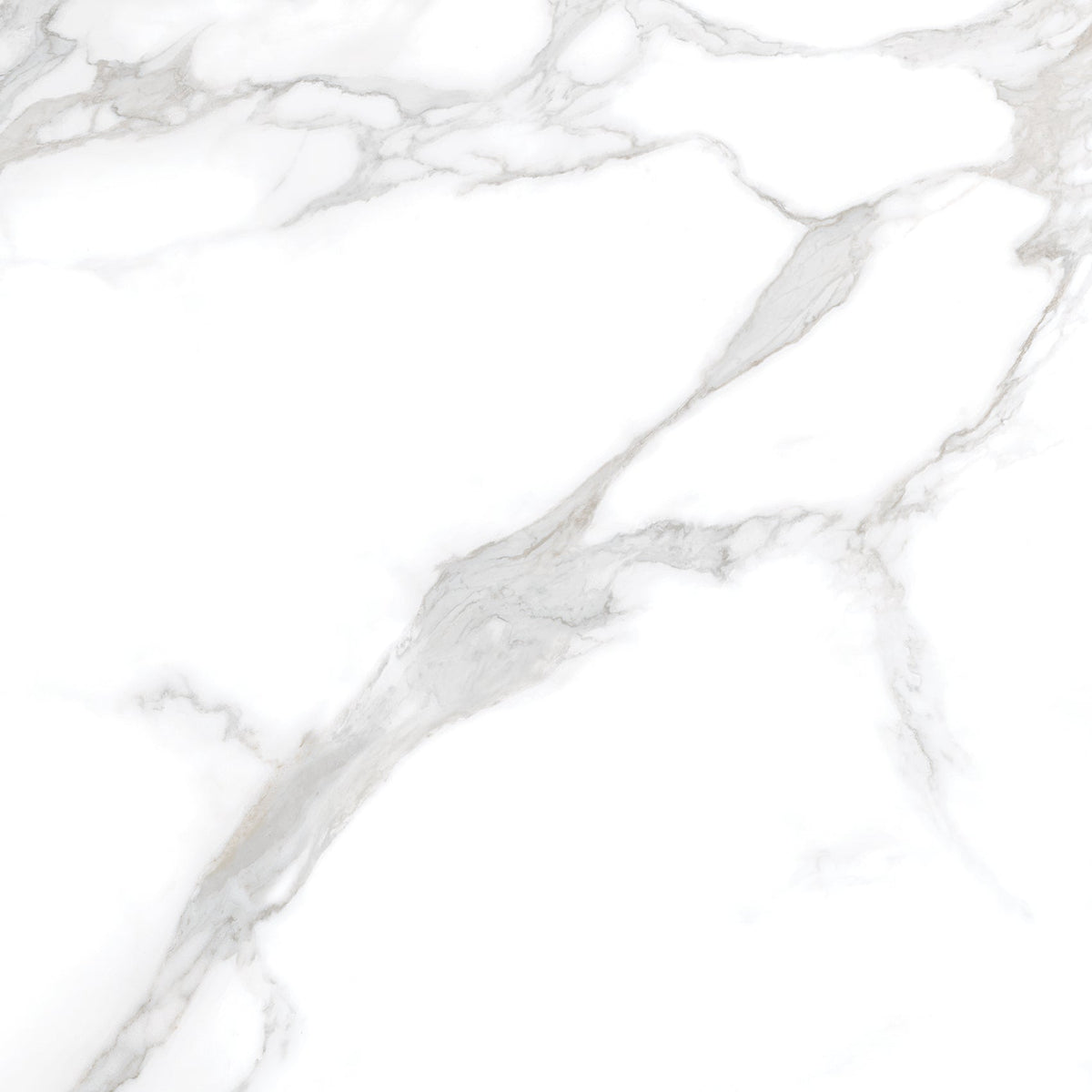 Silver Moon 24x24 Polished Marble Look Porcelain Tile