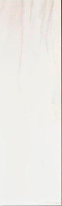 Michelangelo Gray Matte 4x13 Porcelain Subway Tile