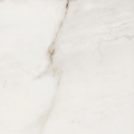 Fossile Polished 12x24 Stone Look Porcelain Tile