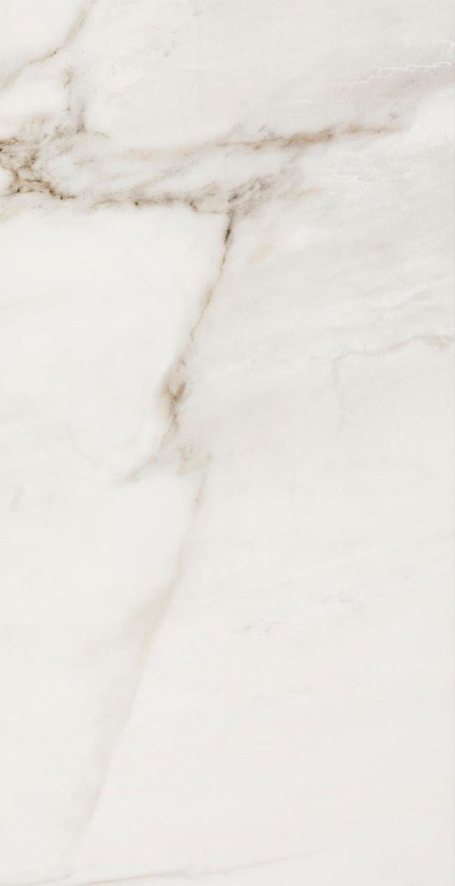 Fossile Polished 12x24 Stone Look Porcelain Tile
