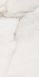 Fossile Polished 12x24 Stone Look Porcelain Tile