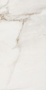 Fossile Polished 12x24 Stone Look Porcelain Tile