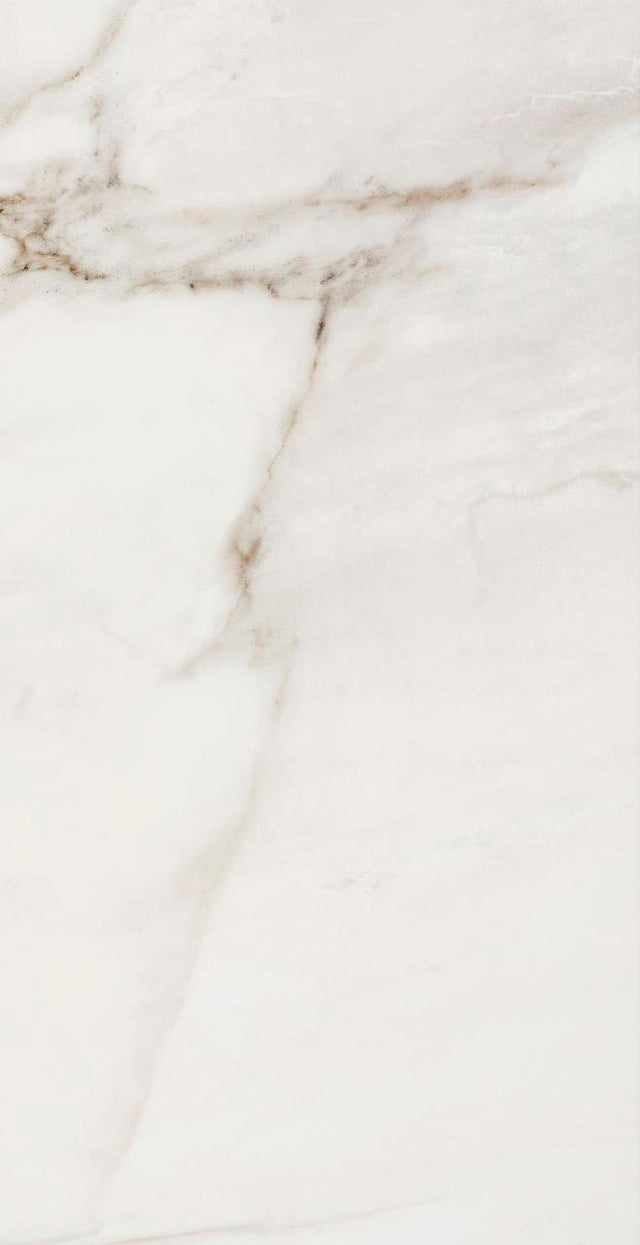 Fossile Polished 12x24 Stone Look Porcelain Tile