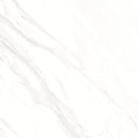 Calacatta Gold 30x30 Polished Marble Look Porcelain Tile
