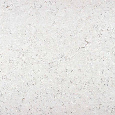 Caliope InOut White 24x24 Matte Porcelain Tile