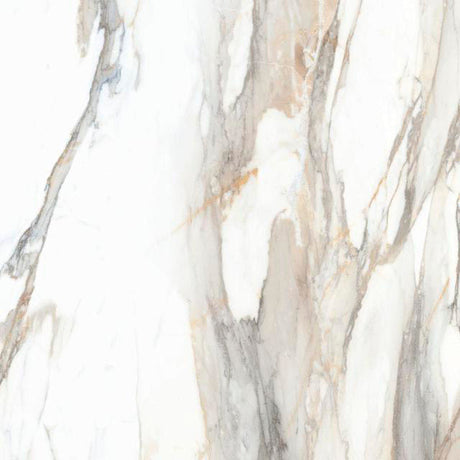 Classica Crema Polished 12x24 Porcelain Floor Tile