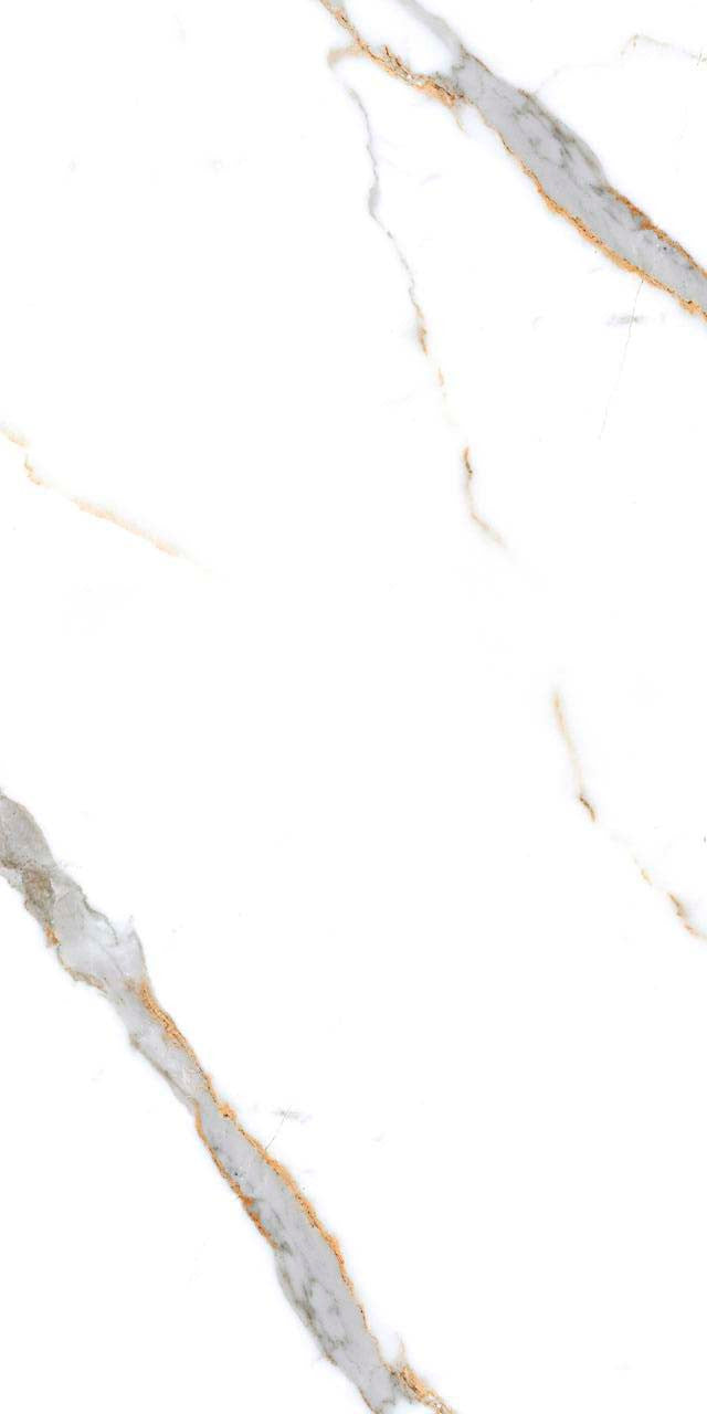 Calacatta Gold 24x48 Polished Marble Look Porcelain Tile