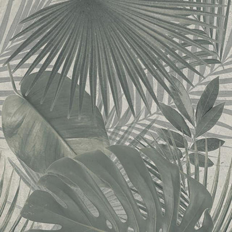 Jungle 24x48 Large Format Porcelain Tile