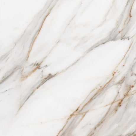 Corinto 24x24 Polished Porcelain Tile