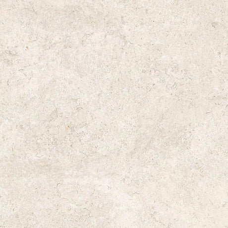 Coquina Off White 32x32 Shellstone Look Porcelain Tile