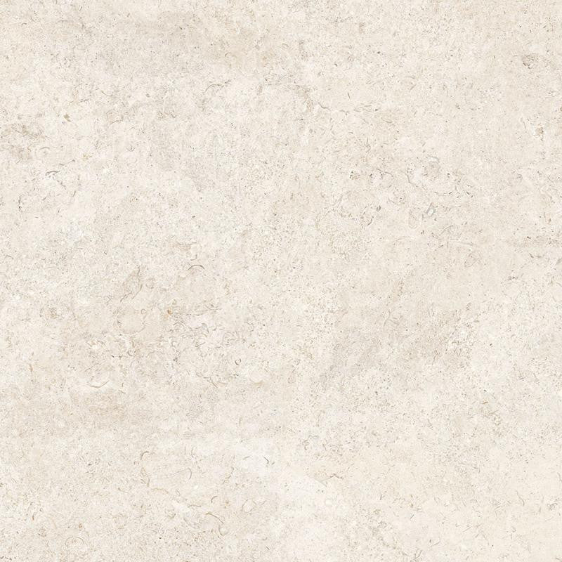 Coquina Off White 32x32 Shellstone Look Porcelain Tile