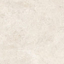 Coquina Off White 32x32 Shellstone Look Porcelain Tile