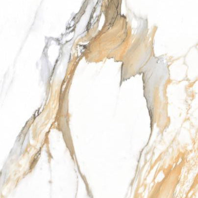 Marmo Vivo Beige 24x48 Polished Marble Look Porcelain Tile