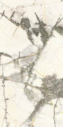Pietra Marme de Milano Polished 12x24 Marble Look Porcelain Tile