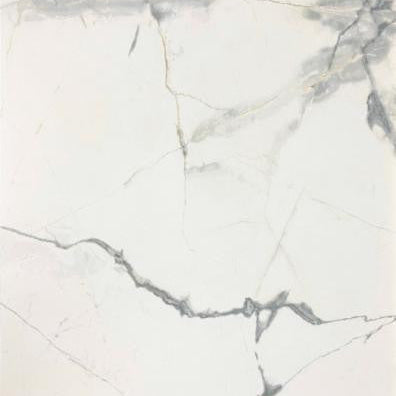 Pietra Marme de Milano 24x48 matte marble look porcelain tile shown face on