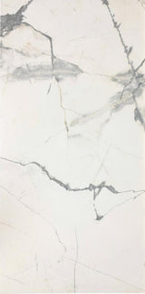 Pietra Marme de Milano 24x48 matte marble look porcelain tile shown face on