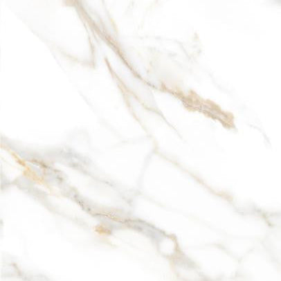 Calacatta Oro 24x48 Polished Marble Look Porcelain Tile
