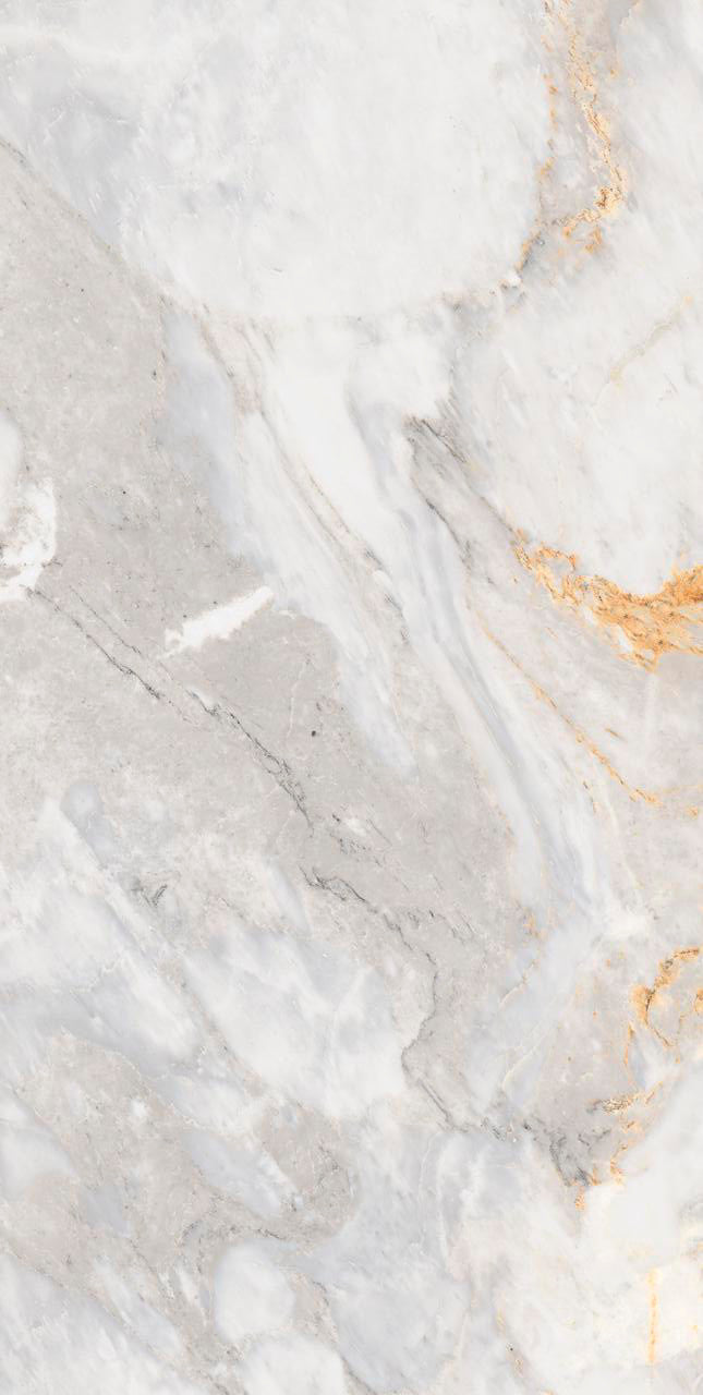 Nizza Grey 24x48 Matte Porcelain Tile 1